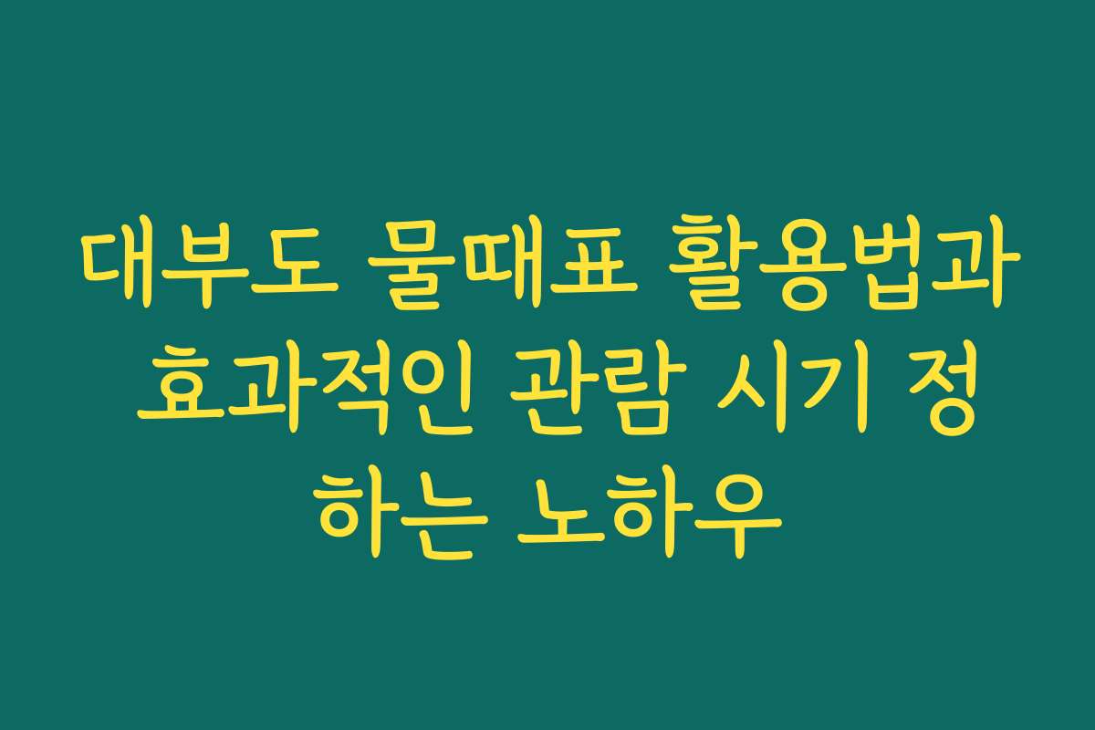 대부도 물때표 활용법과 효과적인 관람 시기 정하는 노하우