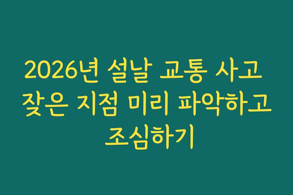 2026년 설날 교통 사고 잦은 지점 미리 파악하고 조심하기