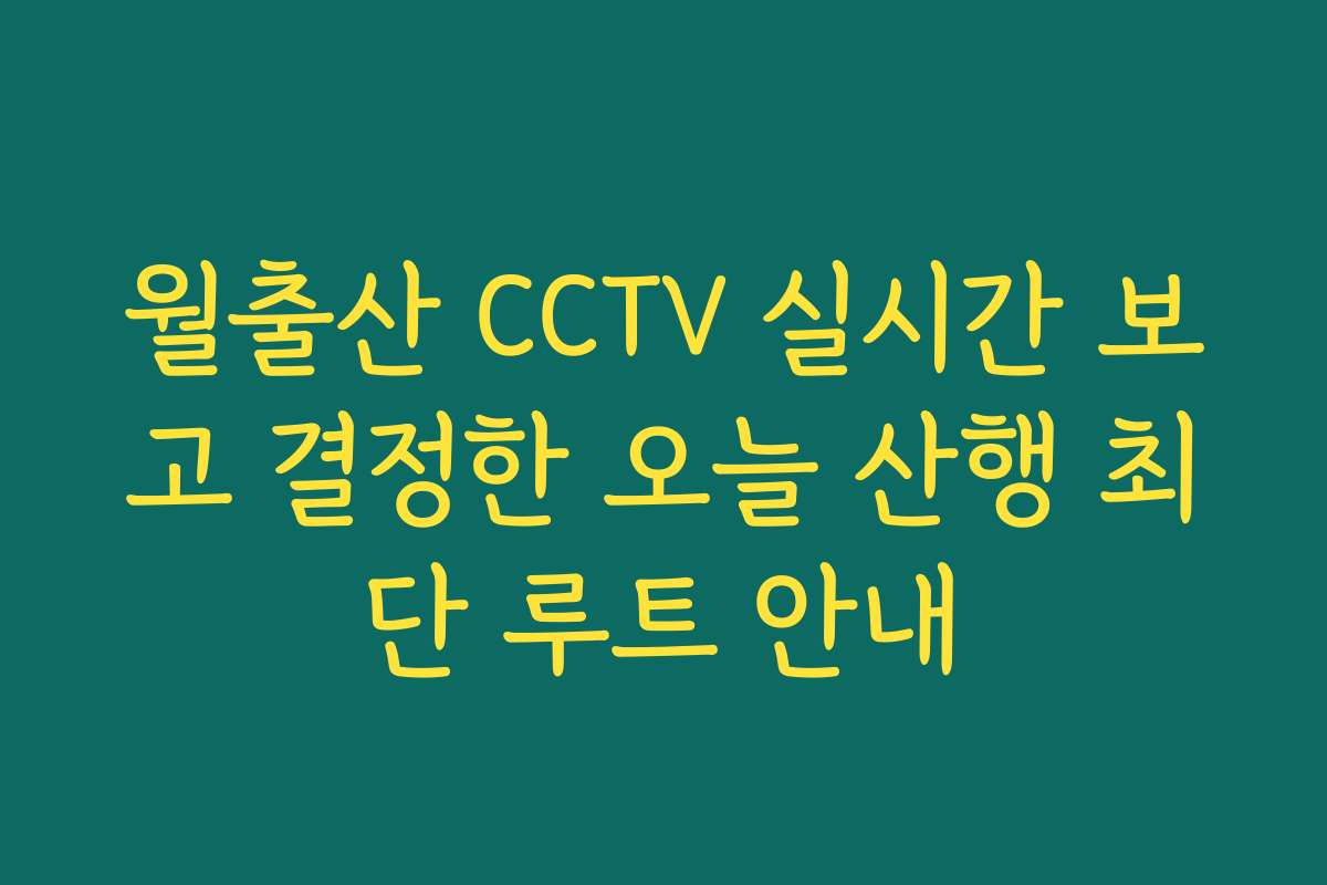 월출산 CCTV 실시간 보고 결정한 오늘 산행 최단 루트 안내