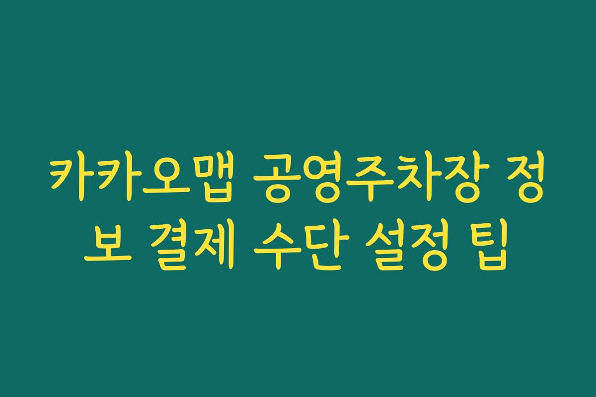 카카오맵 공영주차장 정보 결제 수단 설정 팁