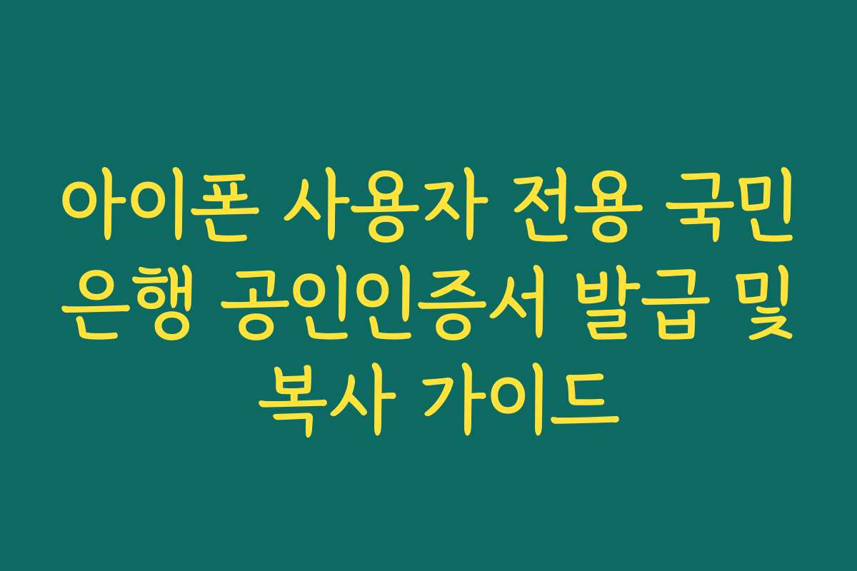 아이폰 사용자 전용 국민은행 공인인증서 발급 및 복사 가이드