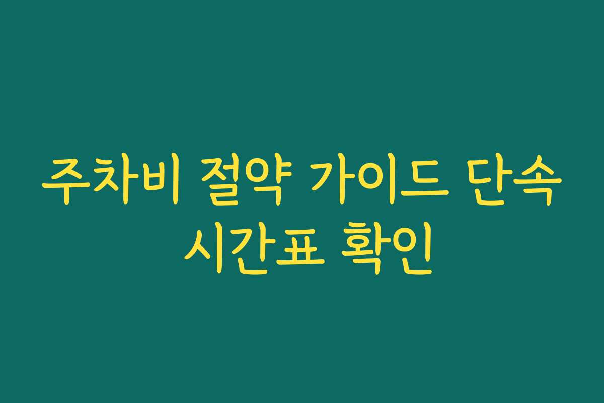 주차비 절약 가이드 단속 시간표 확인