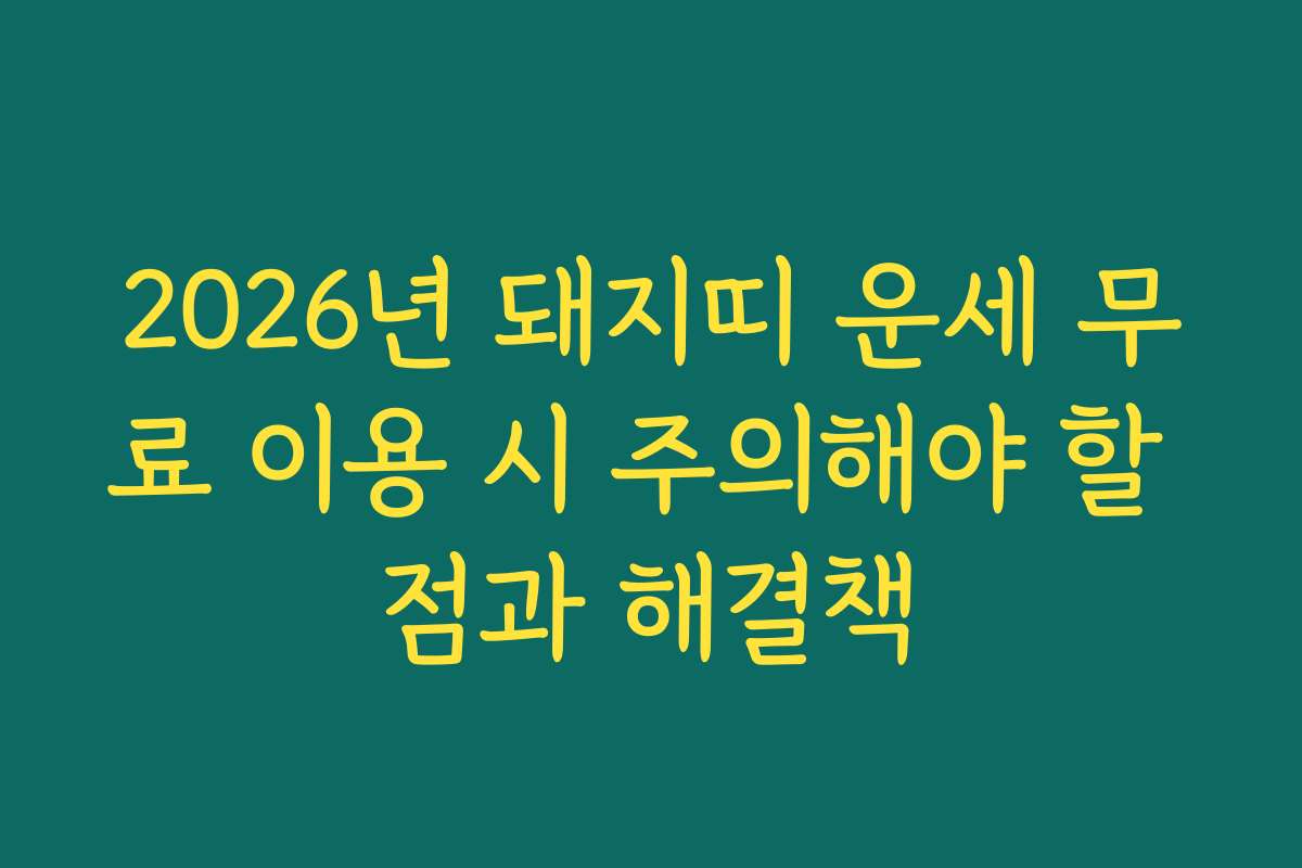 2026년 돼지띠 운세 무료 이용 시 주의해야 할 점과 해결책
