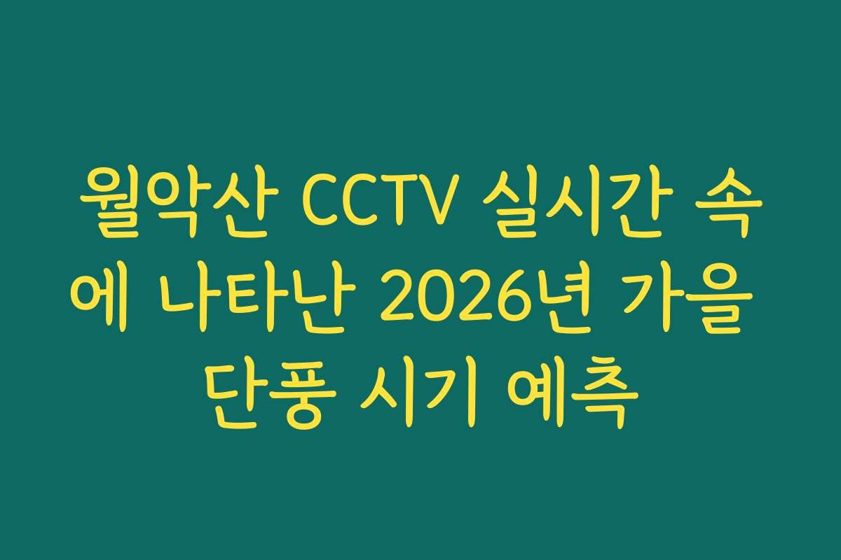 월악산 CCTV 실시간 속에 나타난 2026년 가을 단풍 시기 예측