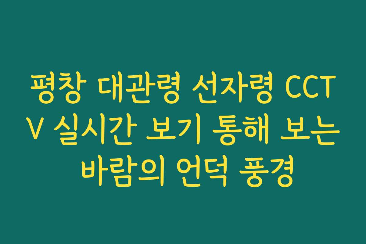 평창 대관령 선자령 CCTV 실시간 보기 통해 보는 바람의 언덕 풍경
