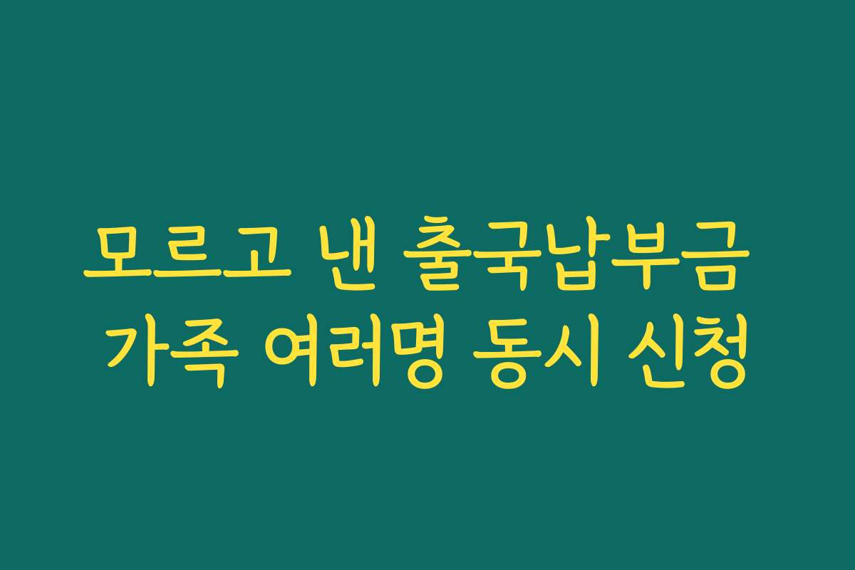 모르고 낸 출국납부금 가족 여러명 동시 신청