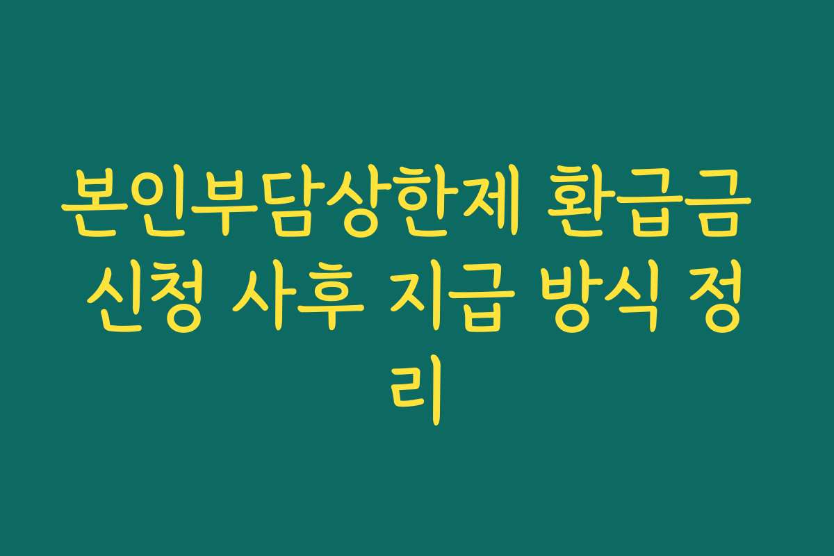 본인부담상한제 환급금 신청 사후 지급 방식 정리