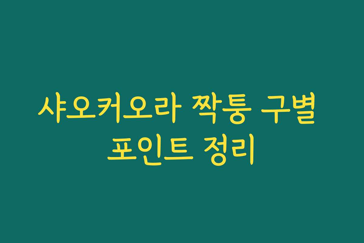 샤오커오라 짝퉁 구별 포인트 정리