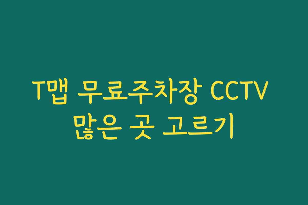 T맵 무료주차장 CCTV 많은 곳 고르기