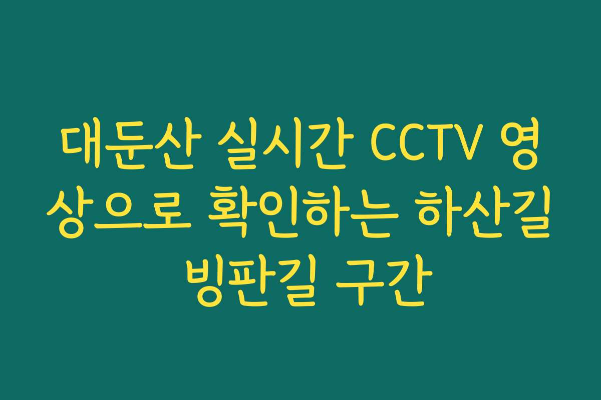 대둔산 실시간 CCTV 영상으로 확인하는 하산길 빙판길 구간