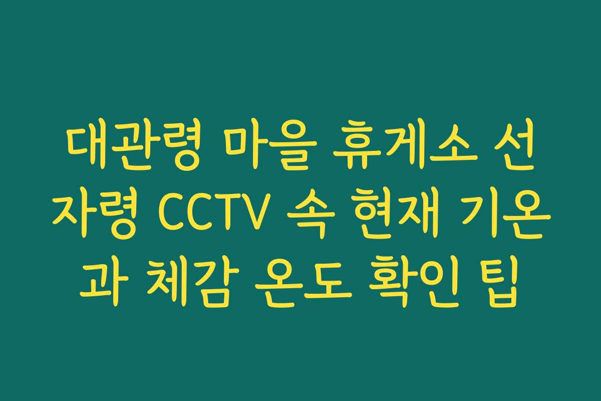 대관령 마을 휴게소 선자령 CCTV 속 현재 기온과 체감 온도 확인 팁