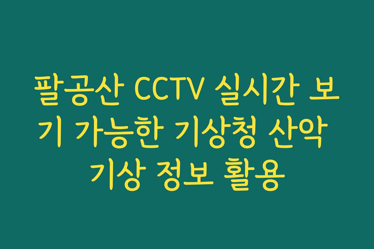 팔공산 CCTV 실시간 보기 가능한 기상청 산악 기상 정보 활용