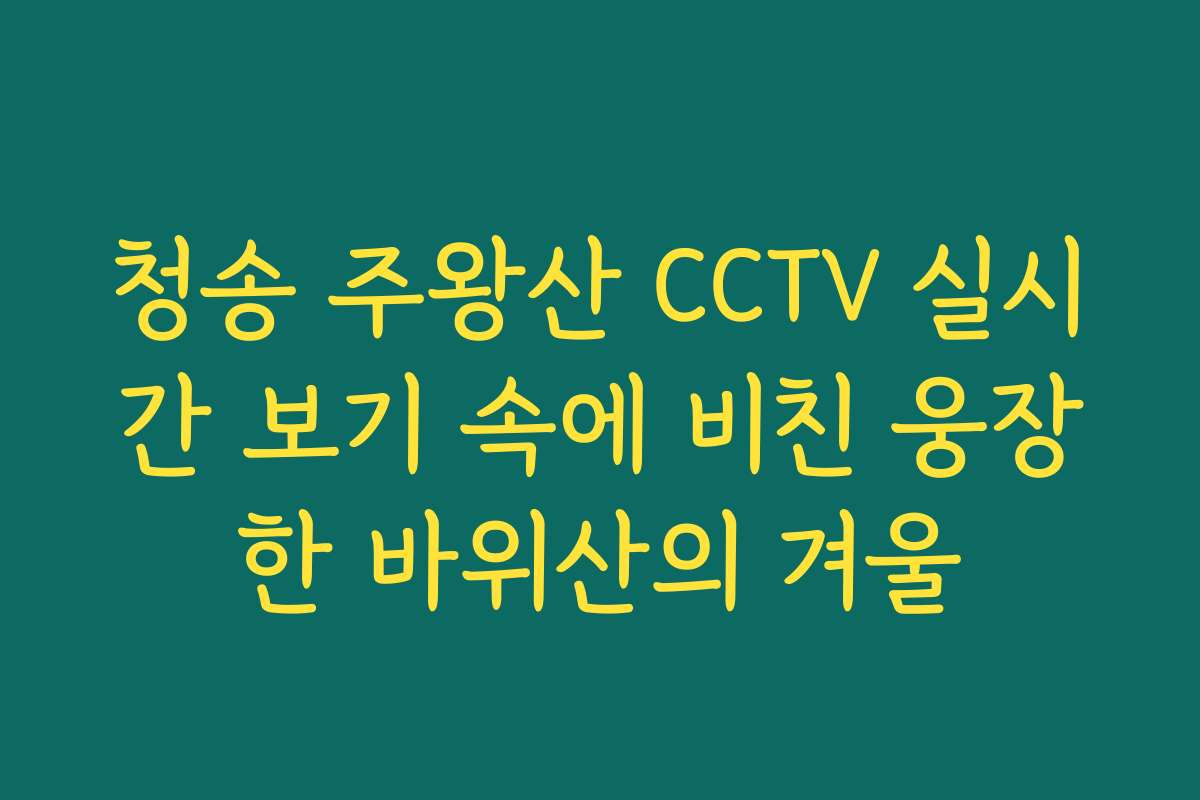 청송 주왕산 CCTV 실시간 보기 속에 비친 웅장한 바위산의 겨울