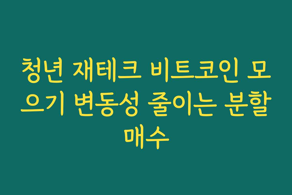 청년 재테크 비트코인 모으기 변동성 줄이는 분할매수