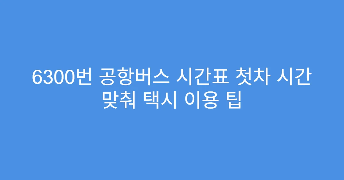 6300번 공항버스 시간표 첫차 시간 맞춰 택시 이용 팁