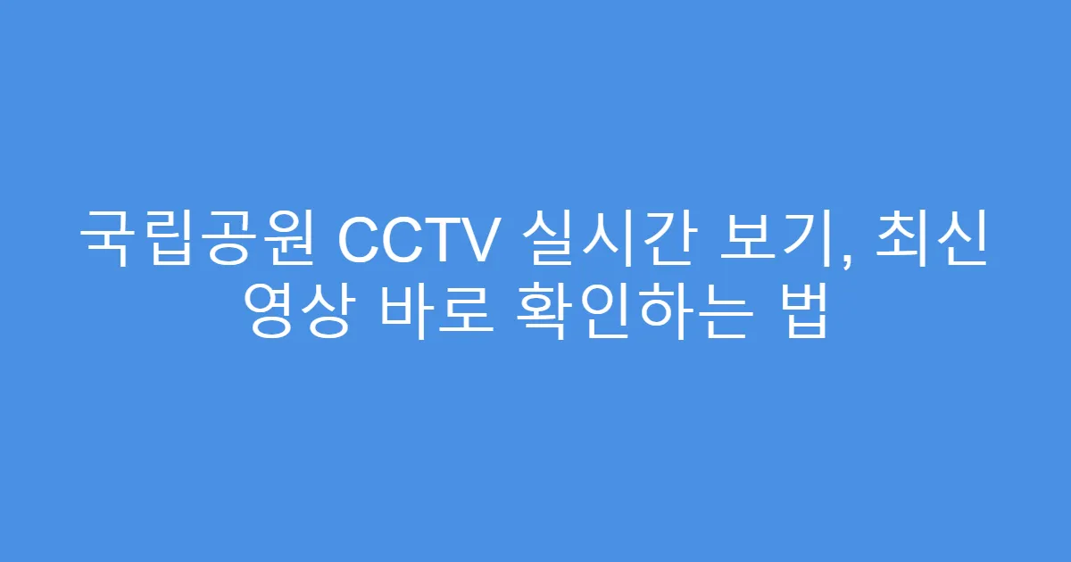 국립공원 CCTV 실시간 보기, 최신 영상 바로 확인하는 법