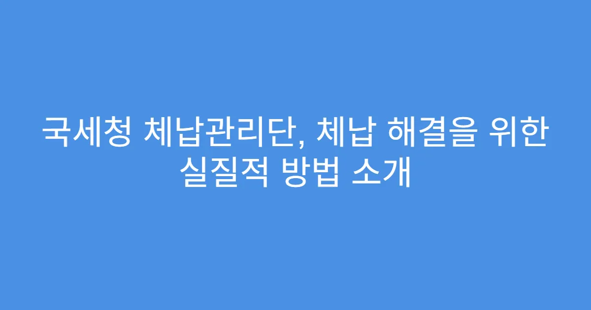 국세청 체납관리단, 체납 해결을 위한 실질적 방법 소개