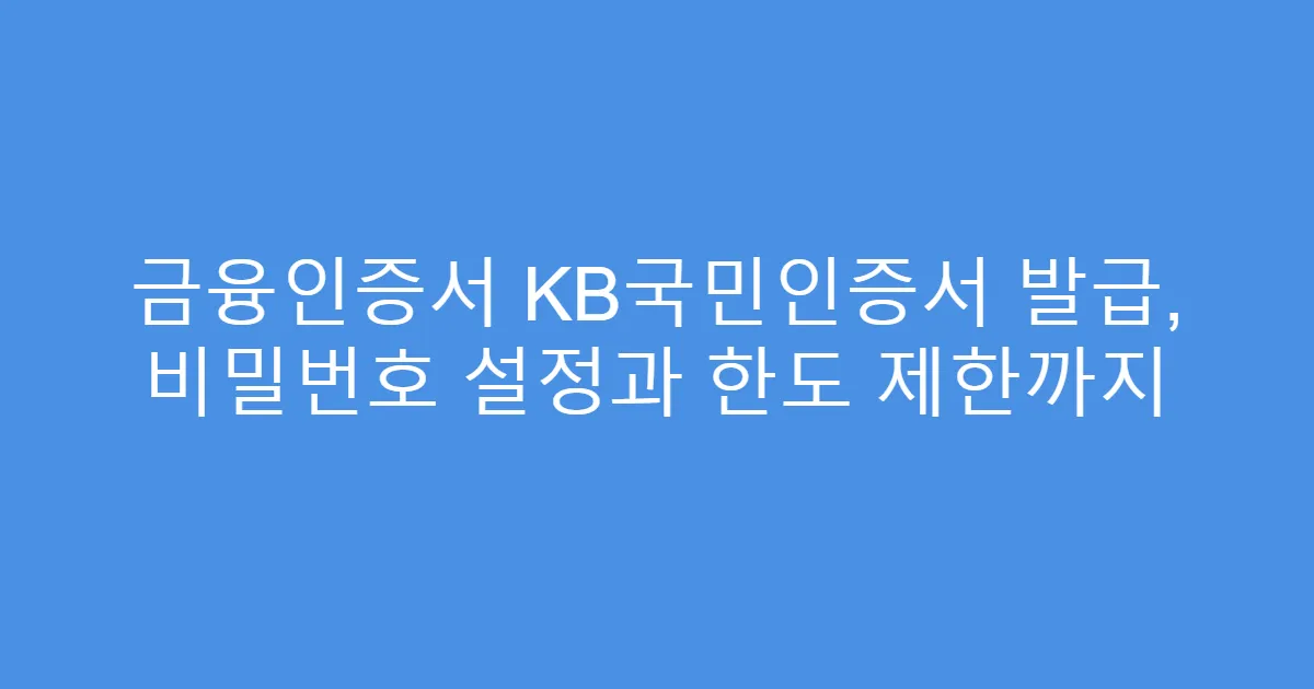 금융인증서 KB국민인증서 발급, 비밀번호 설정과 한도 제한까지