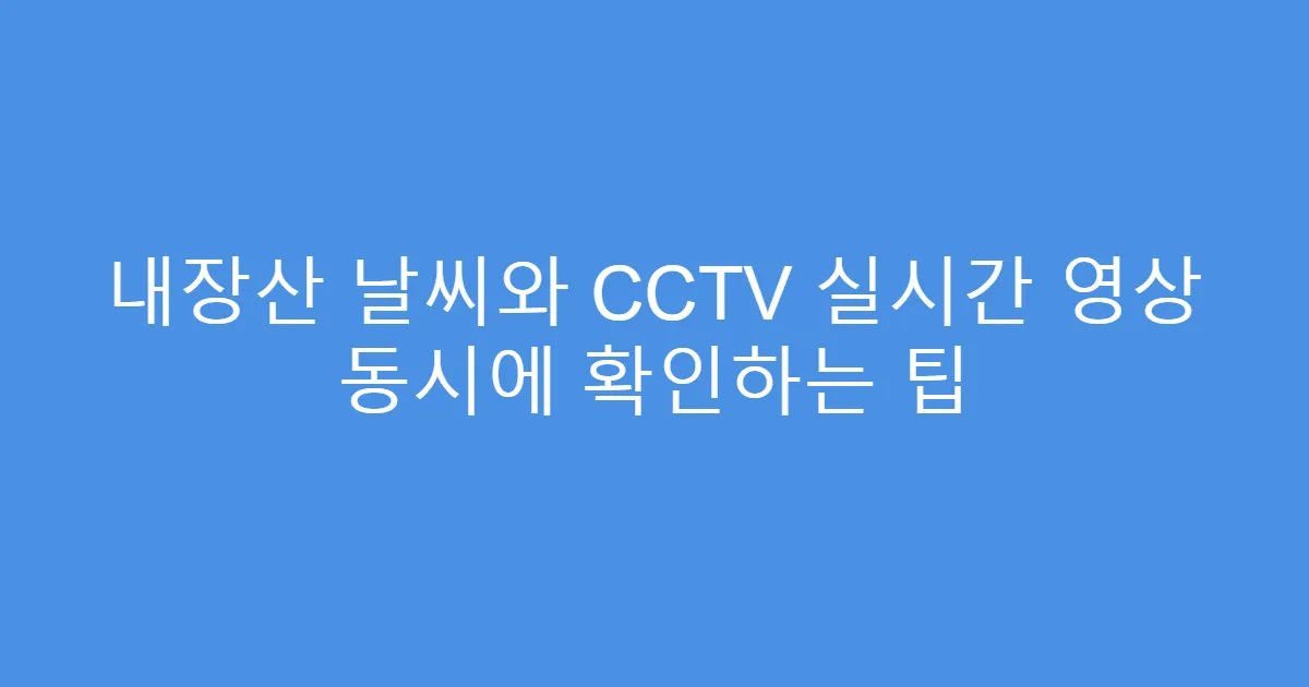 내장산 날씨와 CCTV 실시간 영상 동시에 확인하는 팁