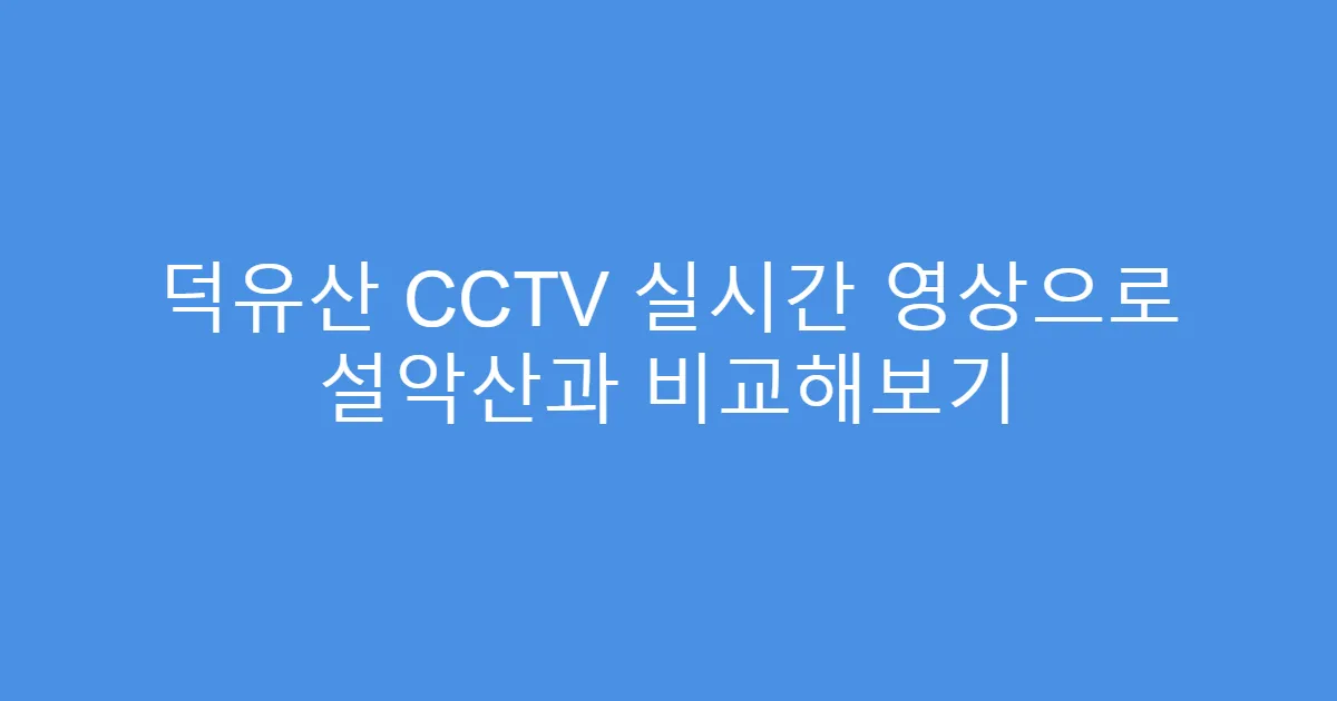 덕유산 CCTV 실시간 영상으로 설악산과 비교해보기