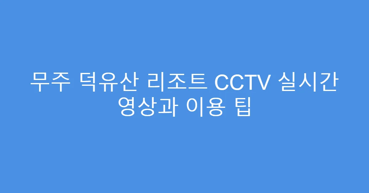 무주 덕유산 리조트 CCTV 실시간 영상과 이용 팁