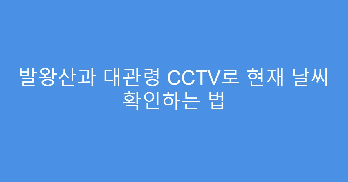 발왕산과 대관령 CCTV로 현재 날씨 확인하는 법