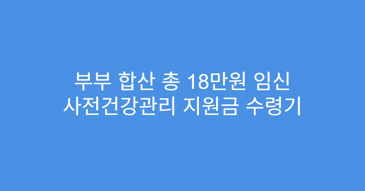 부부 합산 총 18만원 임신 사전건강관리 지원금 수령기
