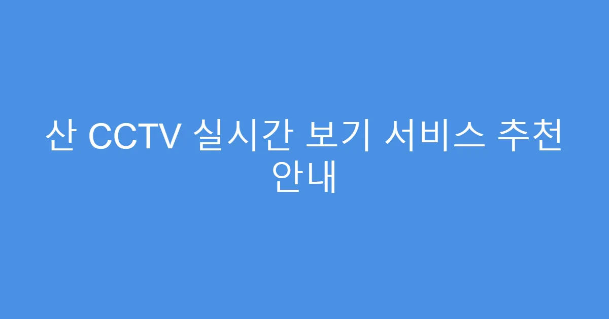 산 CCTV 실시간 보기 서비스 추천 안내