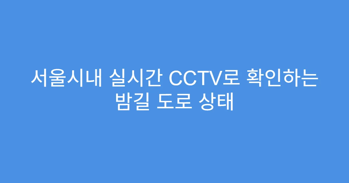 서울시내 실시간 CCTV로 확인하는 밤길 도로 상태