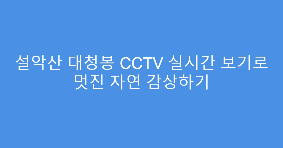 설악산 대청봉 CCTV 실시간 보기로 멋진 자연 감상하기