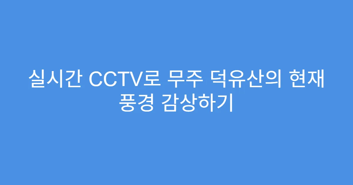 실시간 CCTV로 무주 덕유산의 현재 풍경 감상하기