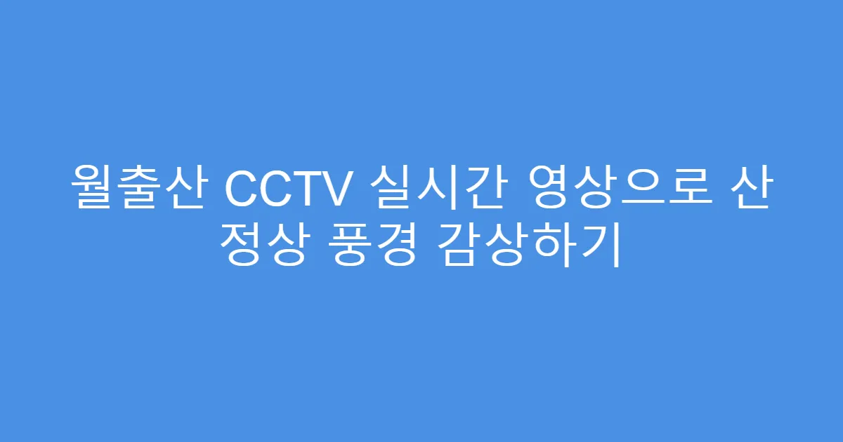 월출산 CCTV 실시간 영상으로 산 정상 풍경 감상하기