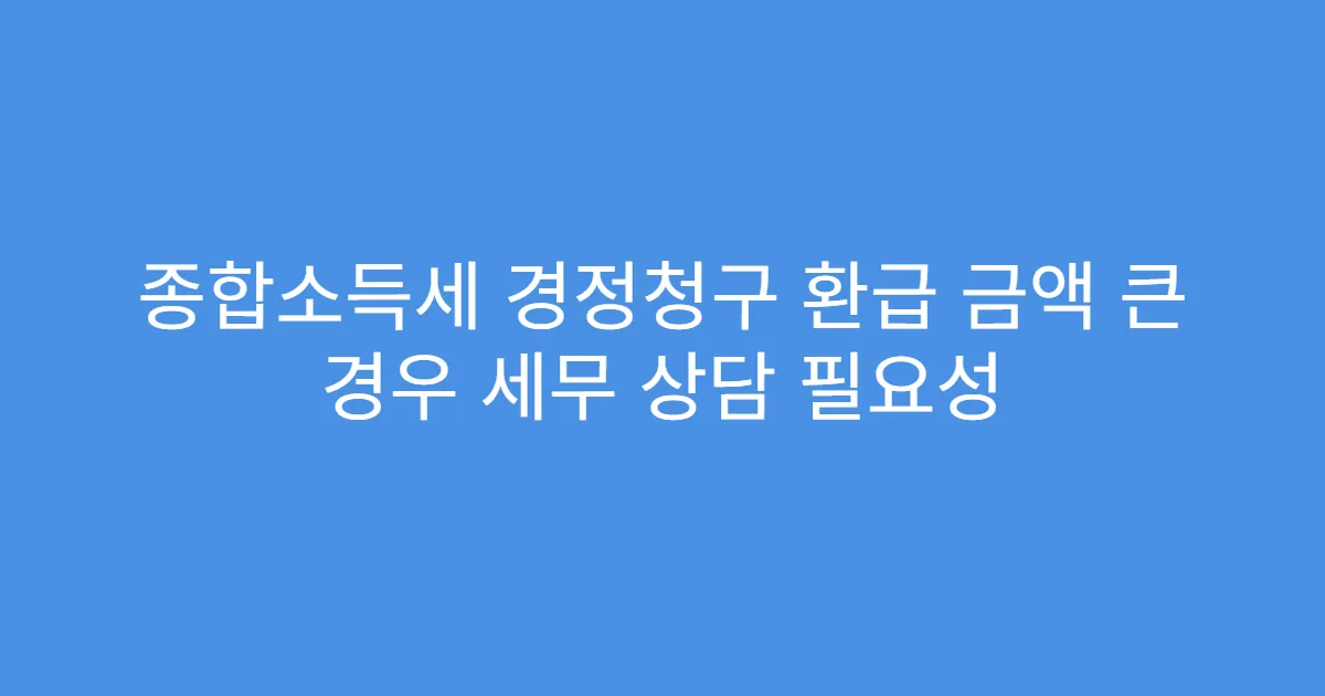 종합소득세 경정청구 환급 금액 큰 경우 세무 상담 필요성