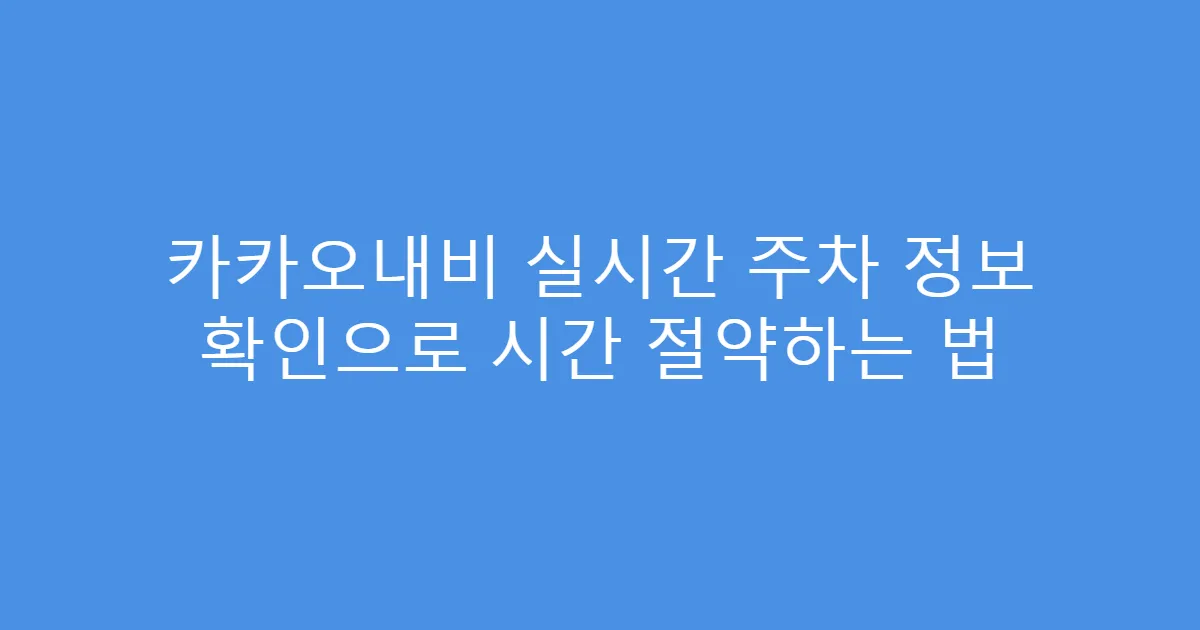 카카오내비 실시간 주차 정보 확인으로 시간 절약하는 법