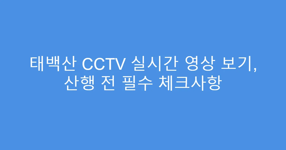 태백산 CCTV 실시간 영상 보기, 산행 전 필수 체크사항