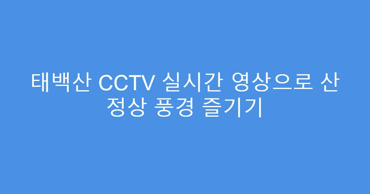 태백산 CCTV 실시간 영상으로 산 정상 풍경 즐기기
