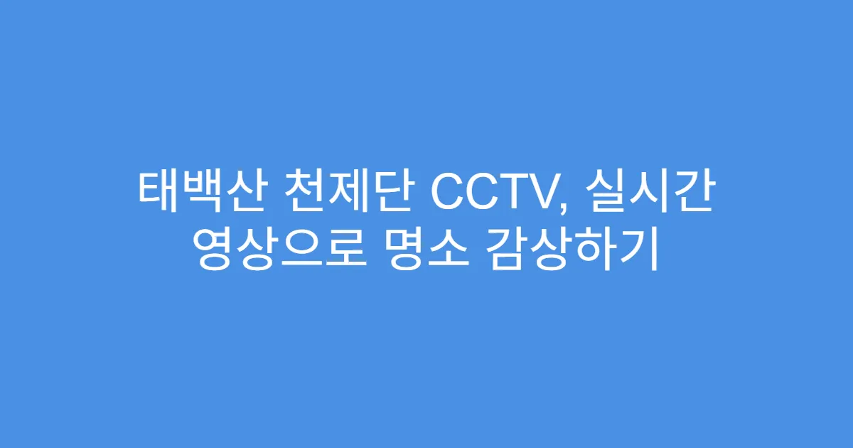 태백산 천제단 CCTV, 실시간 영상으로 명소 감상하기