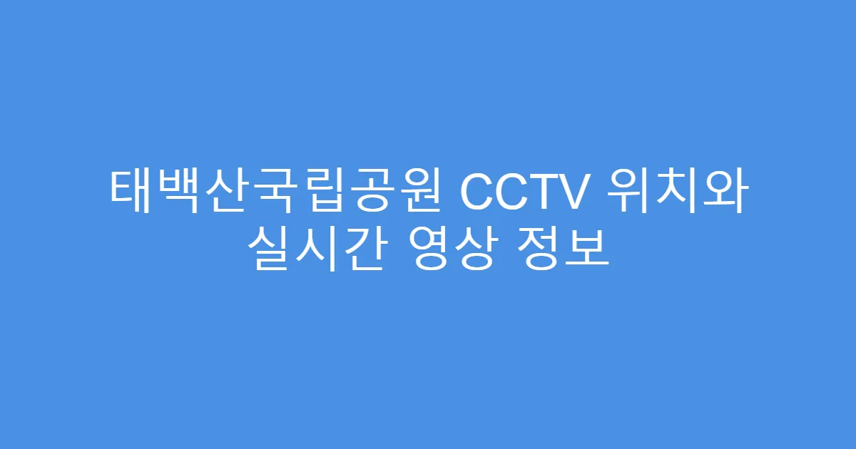 태백산국립공원 CCTV 위치와 실시간 영상 정보