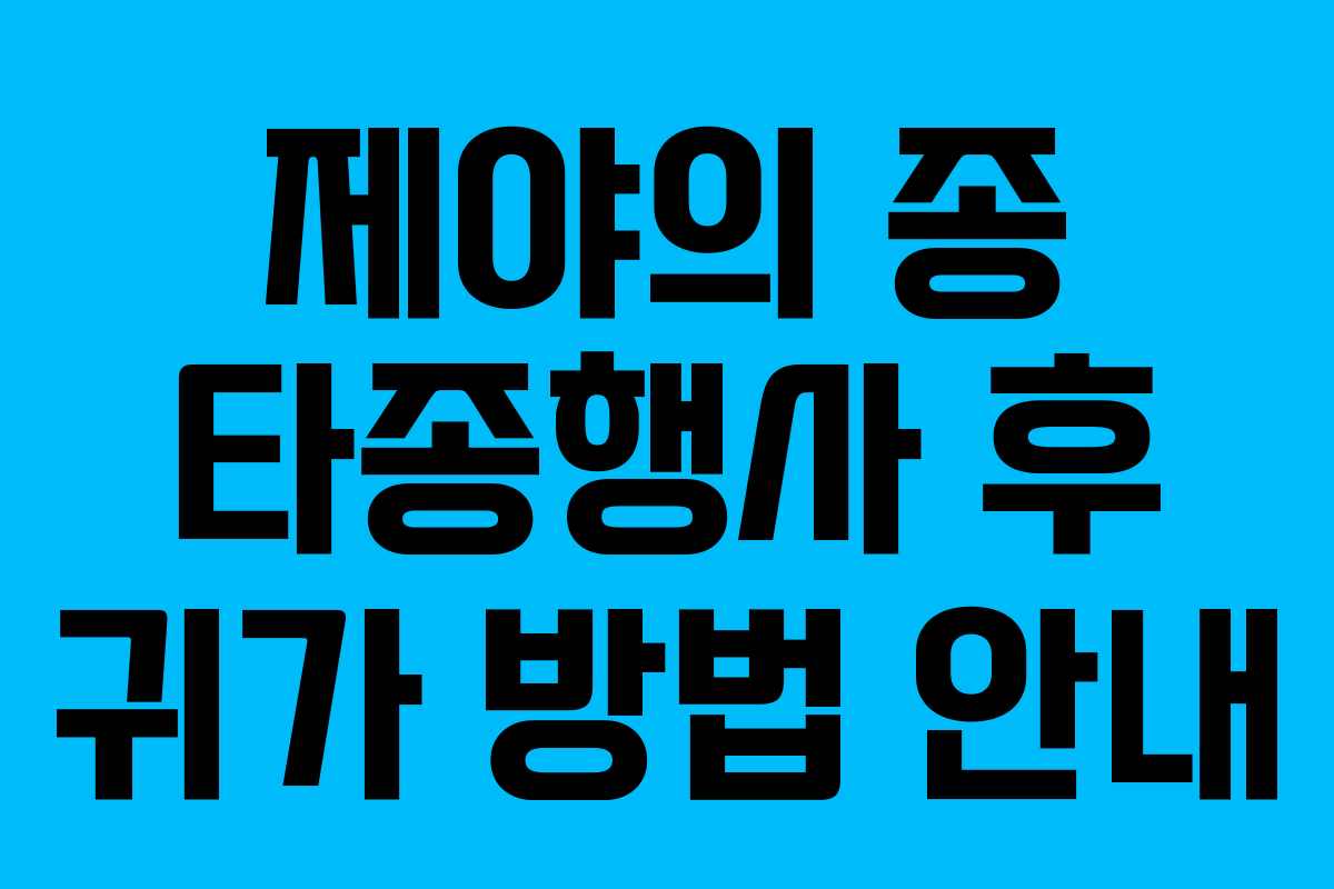 제야의 종 타종행사 후 귀가 방법 안내