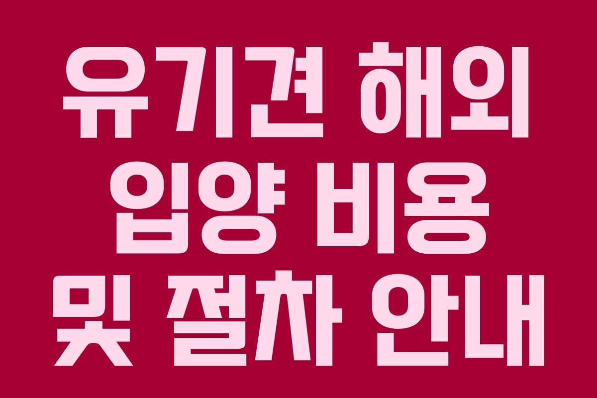 유기견 해외 입양 비용 및 절차 안내