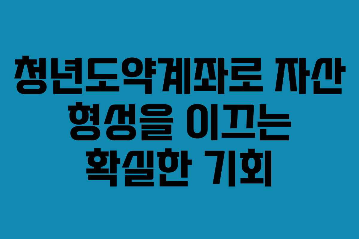 청년도약계좌로 자산 형성을 이끄는 확실한 기회