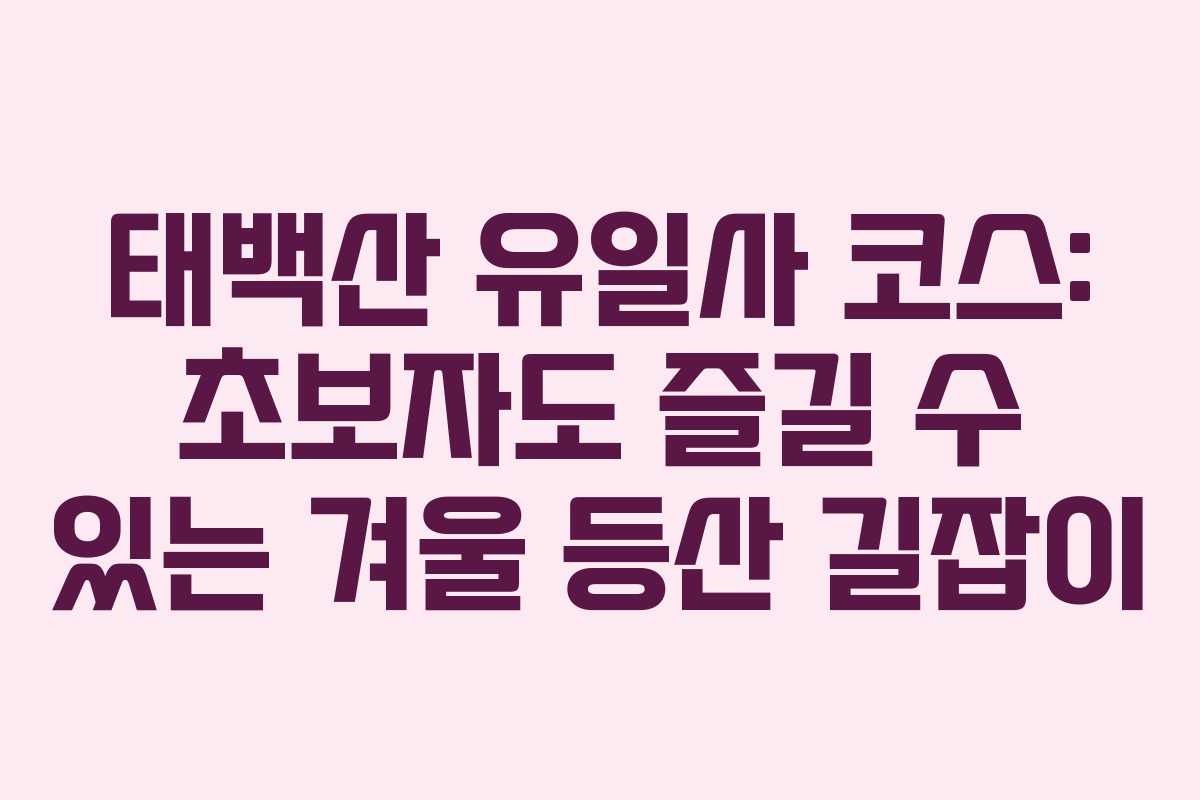 태백산 유일사 코스: 초보자도 즐길 수 있는 겨울 등산 길잡이