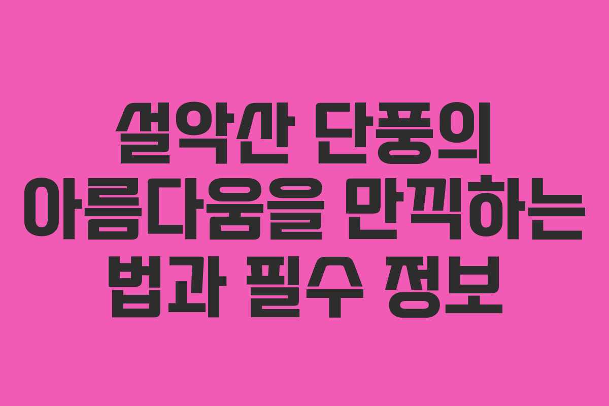 설악산 단풍의 아름다움을 만끽하는 법과 필수 정보