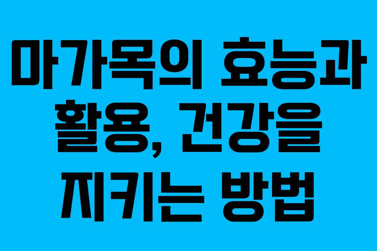 마가목의 효능과 활용, 건강을 지키는 방법