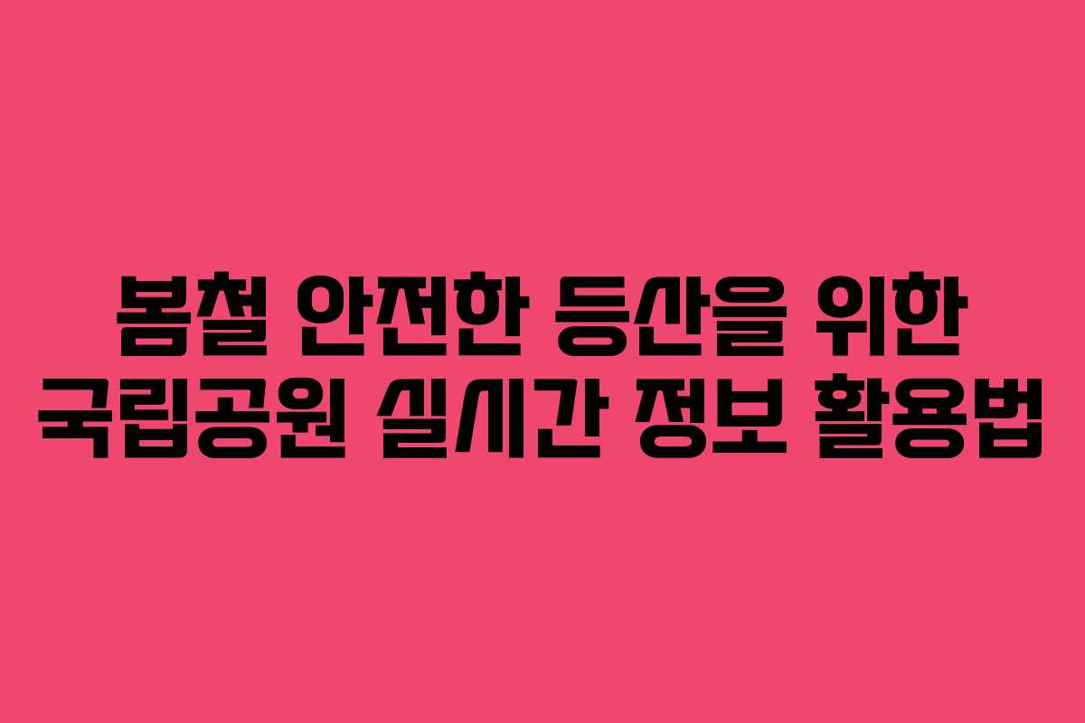 봄철 안전한 등산을 위한 국립공원 실시간 정보 활용법