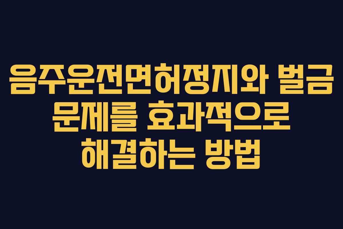 음주운전면허정지와 벌금 문제를 효과적으로 해결하는 방법