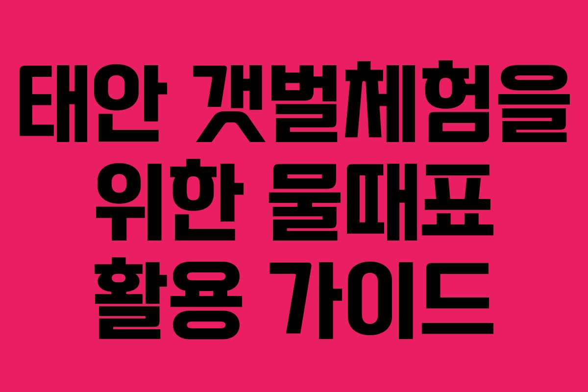 태안 갯벌체험을 위한 물때표 활용 가이드
