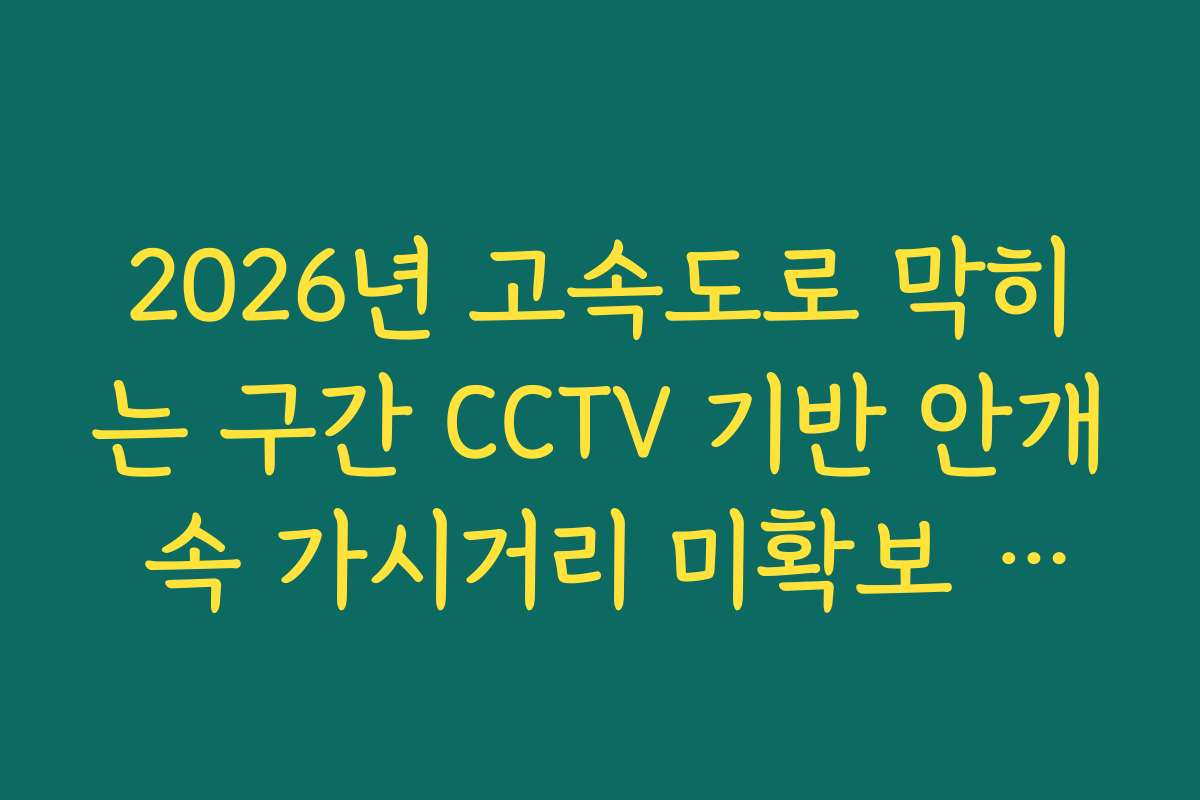 2026년 고속도로 막히는 구간 CCTV 기반 안개 속 가시거리 미확보 정체 분석