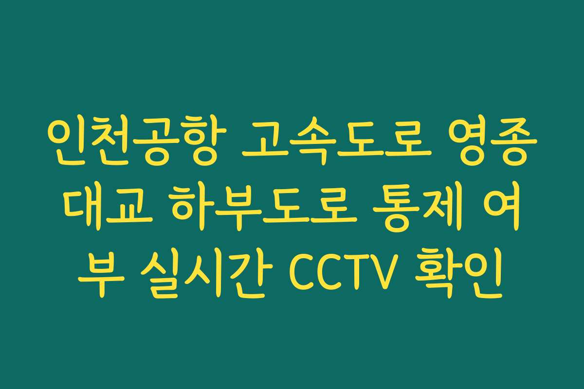 인천공항 고속도로 영종대교 하부도로 통제 여부 실시간 CCTV 확인
