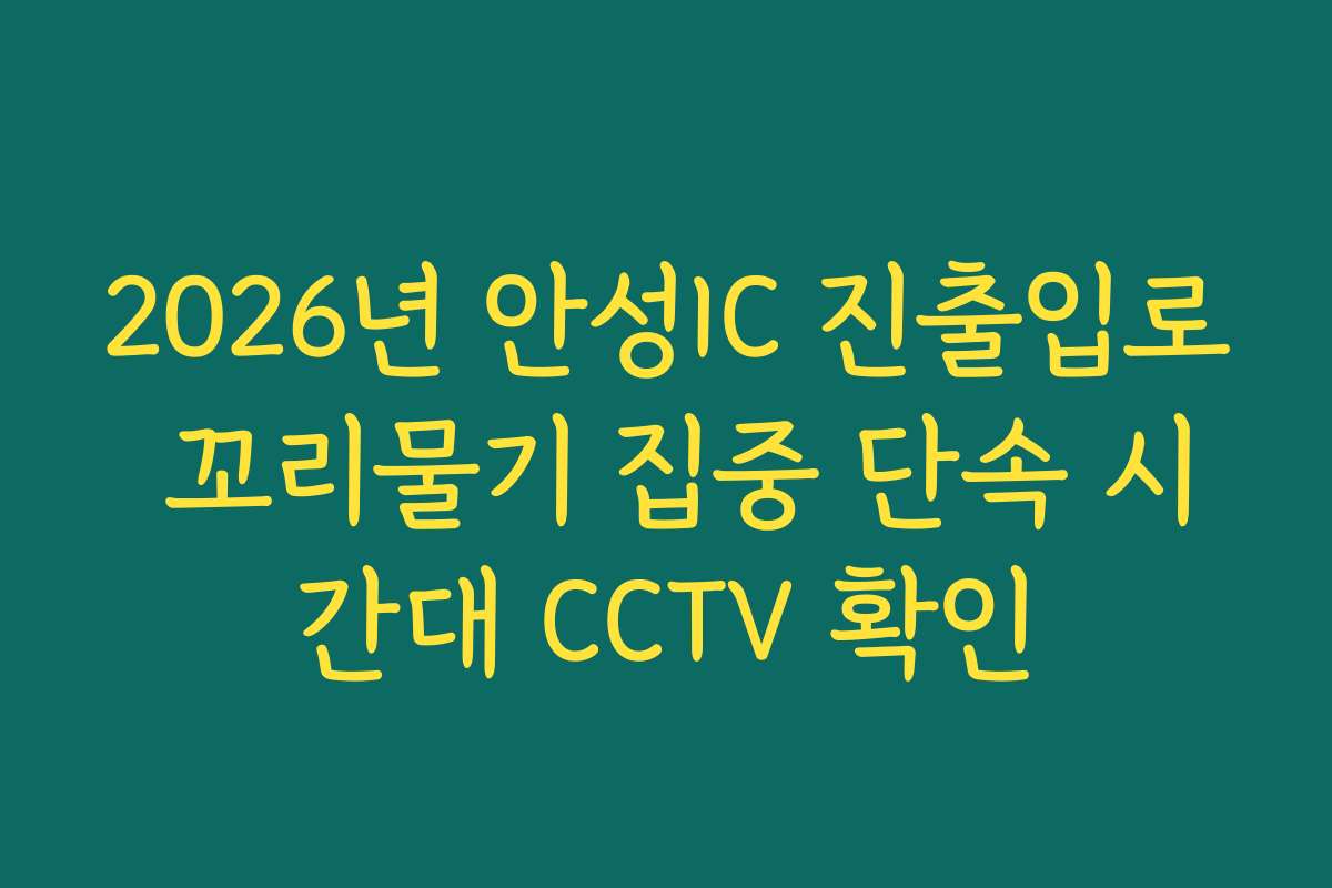 2026년 안성IC 진출입로 꼬리물기 집중 단속 시간대 CCTV 확인
